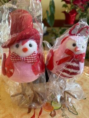 Valentine’s Day Bird Decorations set